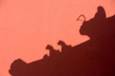 传闻：微软希望抢先PS6发布下一代Xbox 打价格战